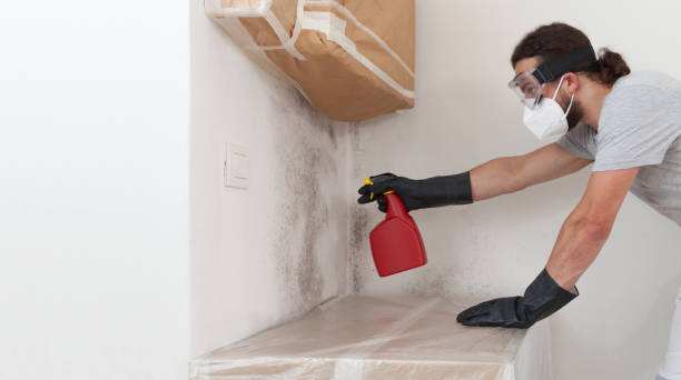 Professional Commercial Mold Remediation technician working in Clark, NJ