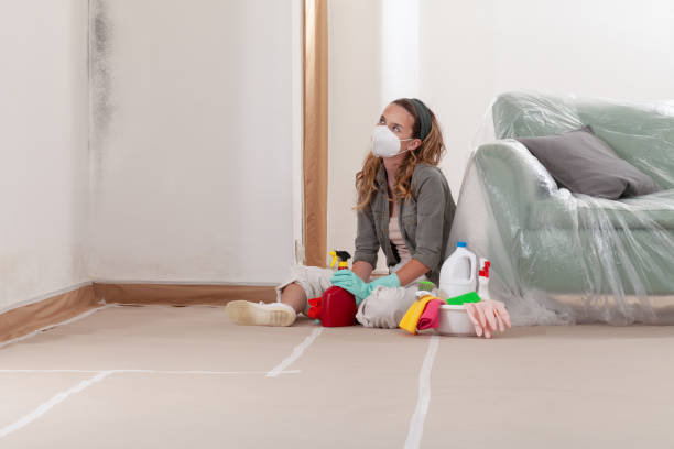 Reliable Commercial Mold Remediation contractor in Clark, NJ by 24 Hour Mold Removal